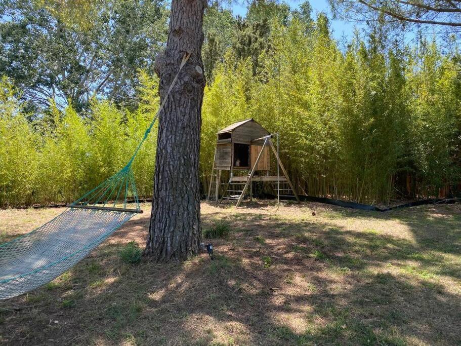 Villa Petit Mas Calme Typique Du Sud ! à Valergues Extérieur photo